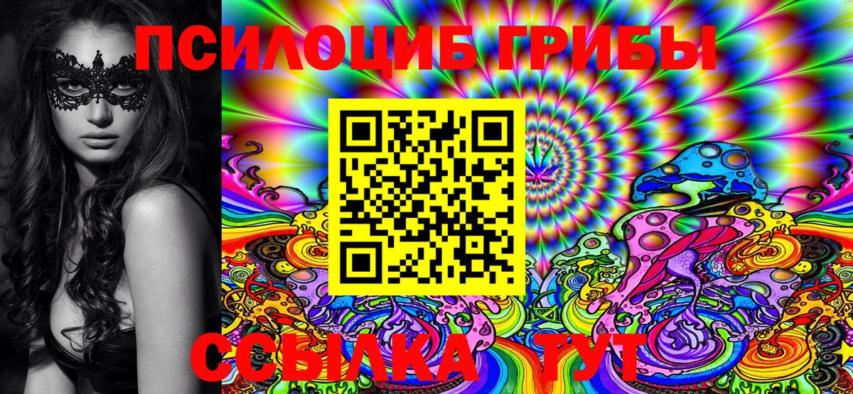 Псилоцибиновые грибы GOLDEN TEACHER Чебоксары
