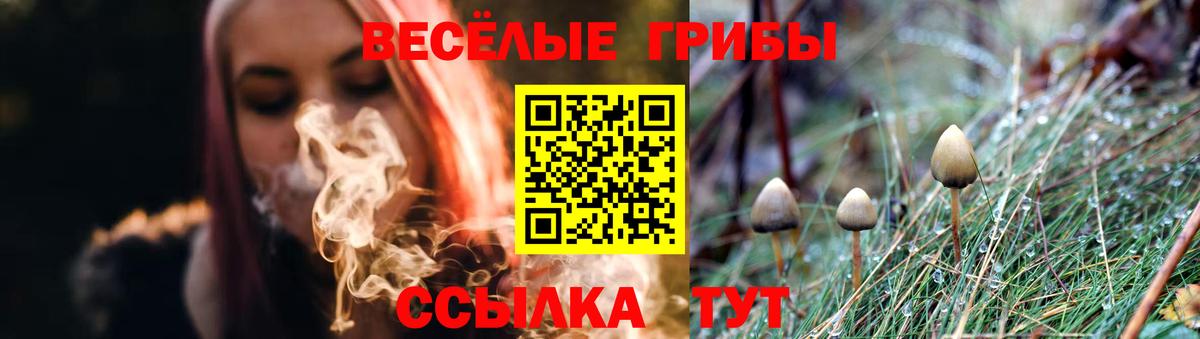 Чебоксары  Псилоцибиновые грибы мухоморы  дарнет шоп  Вход с VPN 